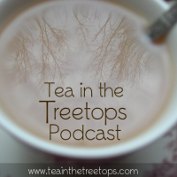 Podcast Episode #37: Load Your 2016 TBR