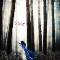 Review: Stray, Elissa Sussman