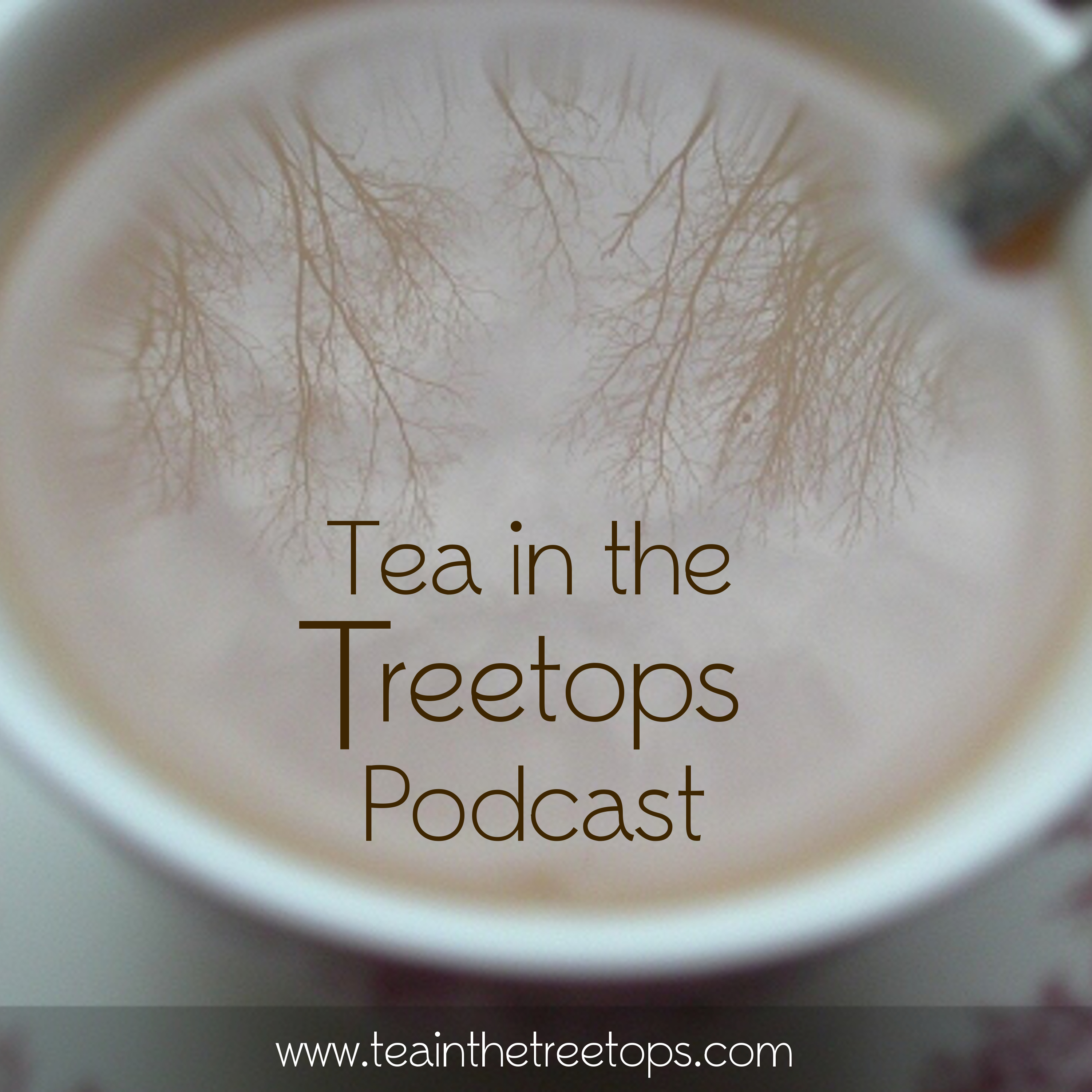 Podcast Episode #66 – Akarnae and Other Magic Schools