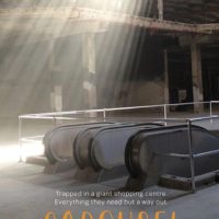 Review: Carousel, Brendan Ritchie